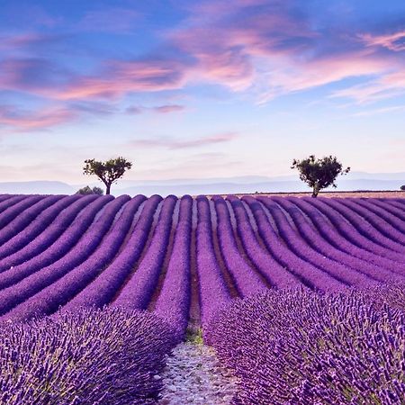 La Maison Des Collines Allemagne-en-Provence Esterno foto