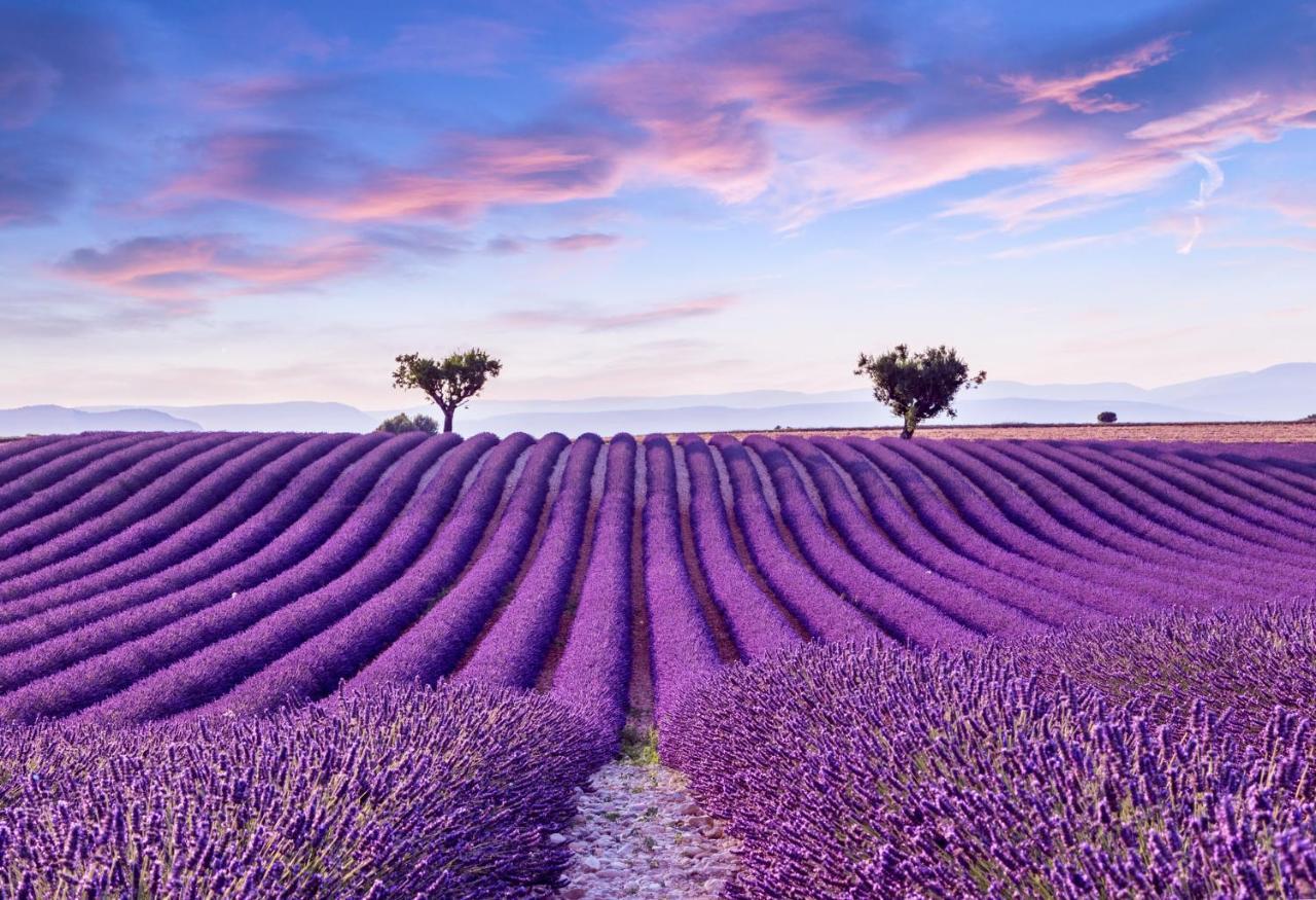 La Maison Des Collines Allemagne-en-Provence Esterno foto