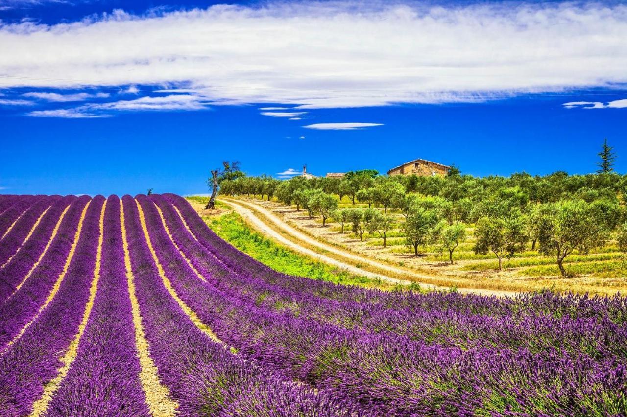 La Maison Des Collines Allemagne-en-Provence Esterno foto