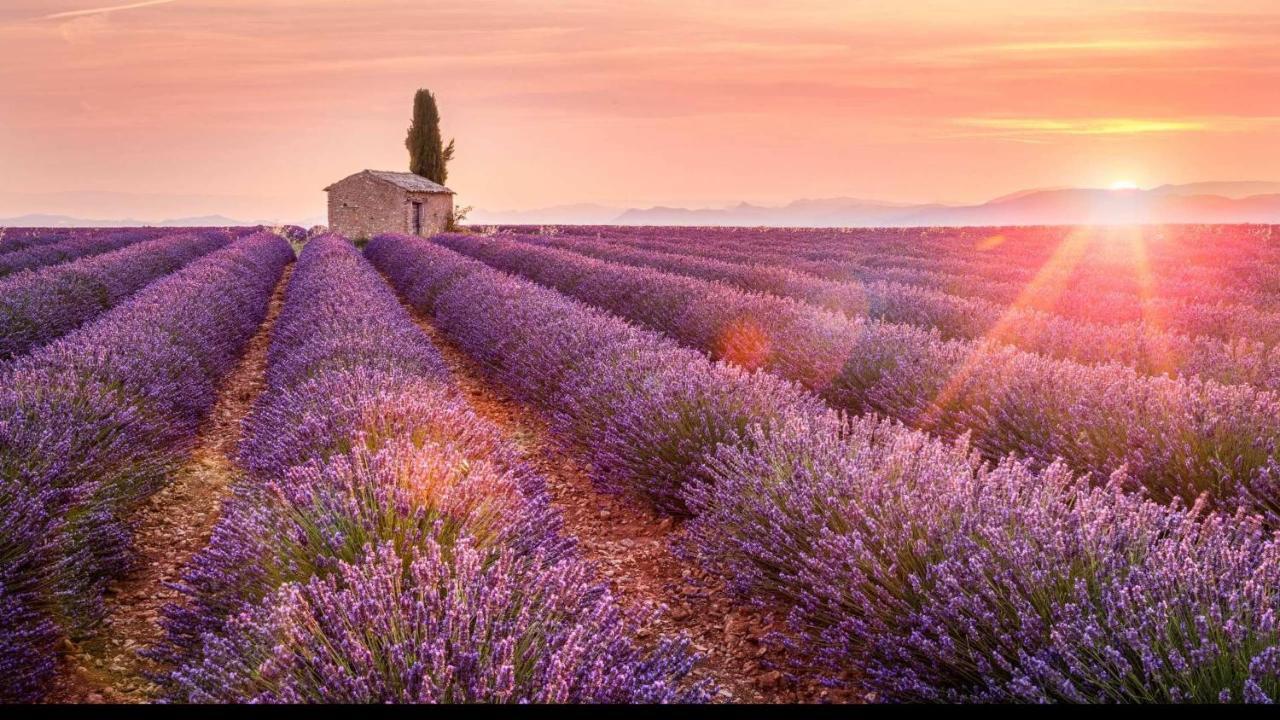 La Maison Des Collines Allemagne-en-Provence Esterno foto